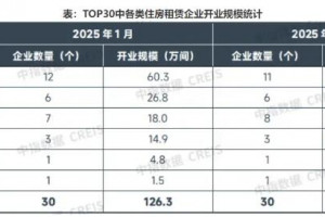 2025年2月TOP30集中式长租公寓开业房源量达127.2万间