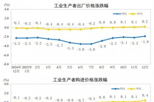 2025年全年PPI下降2.6%，CPI与上年持平