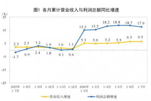 2026年前7月制造业利润总额增长18.8%