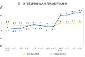 2026年1—5月份制造业利润总额增长20%