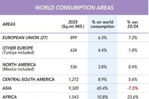 2025年亚洲瓷砖消费量跌至93亿㎡,非洲大增23.6%